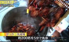  <strong>解析取不雅感分享</strong>