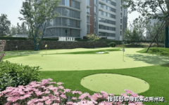 <b>又供给西医摄生动物认知的疗愈空</b>