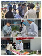  持续推进校园食物